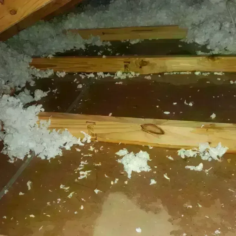 Attic Water Damage in Tallaboa Alta, PR